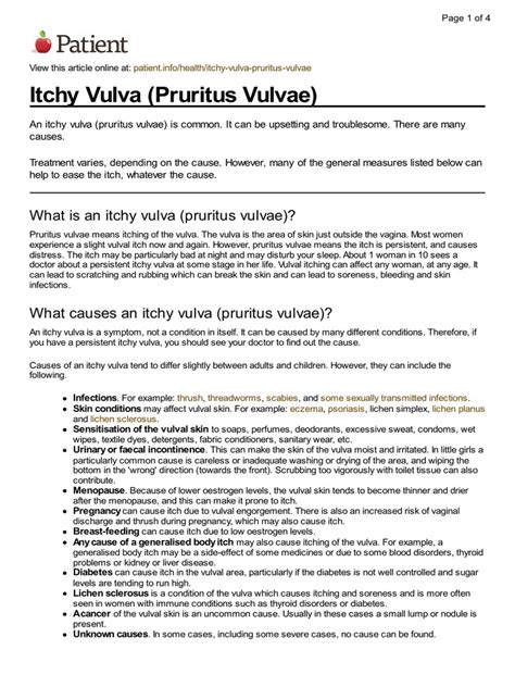 vulva wiki dictionary|pruritus vulvae wikipedia.